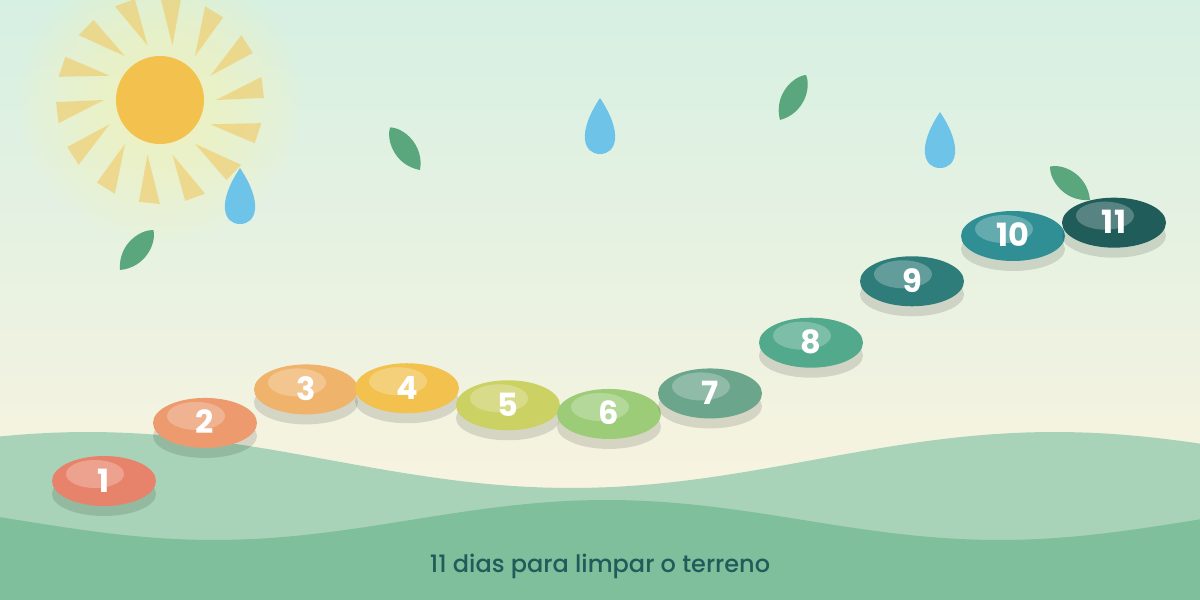 Onze pedras a formar um caminho, numeradas de 1 a 11, entre colinas verdes